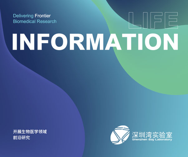 廣州旅游業發展中logo設計公司的市場需求分析